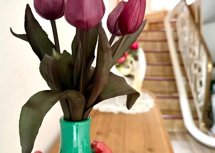 Schloesschen Am Rhinufer